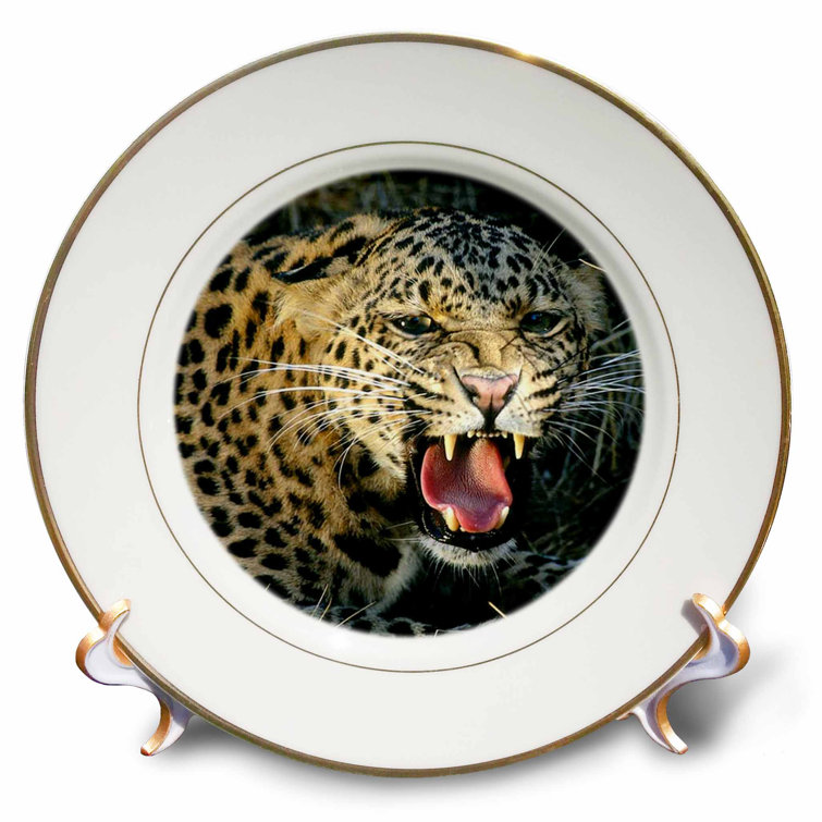 East Urban Home Amazon Leopard Porcelain Decorative Plate Wayfair